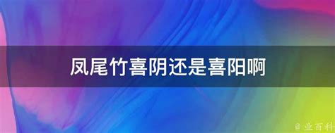 辣椒喜阳吗|辣椒喜阴还是喜阳？怎么让辣椒的光照合适？硬核解答！